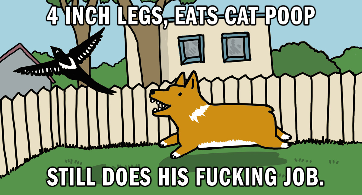 Late to the Party Dog Memes